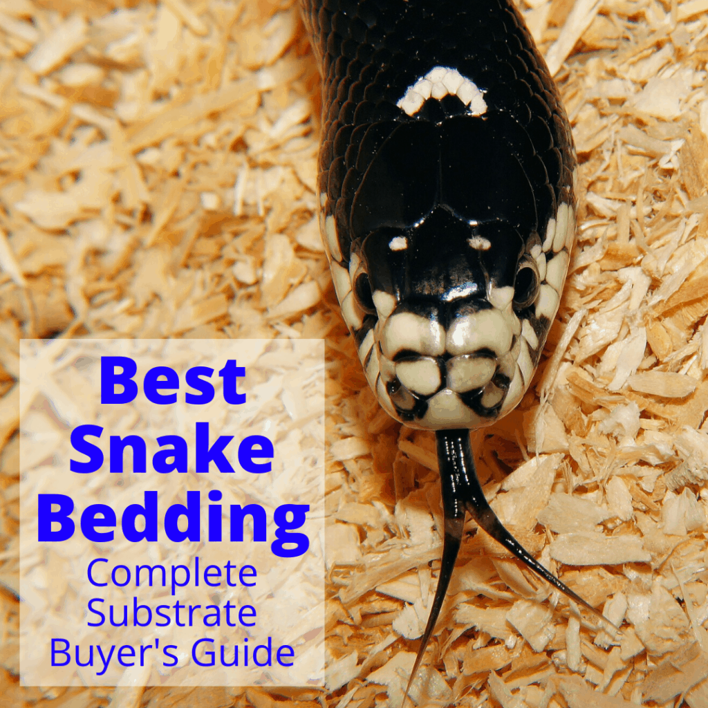 Best Snake Bedding Substrate Buyer's Guide)