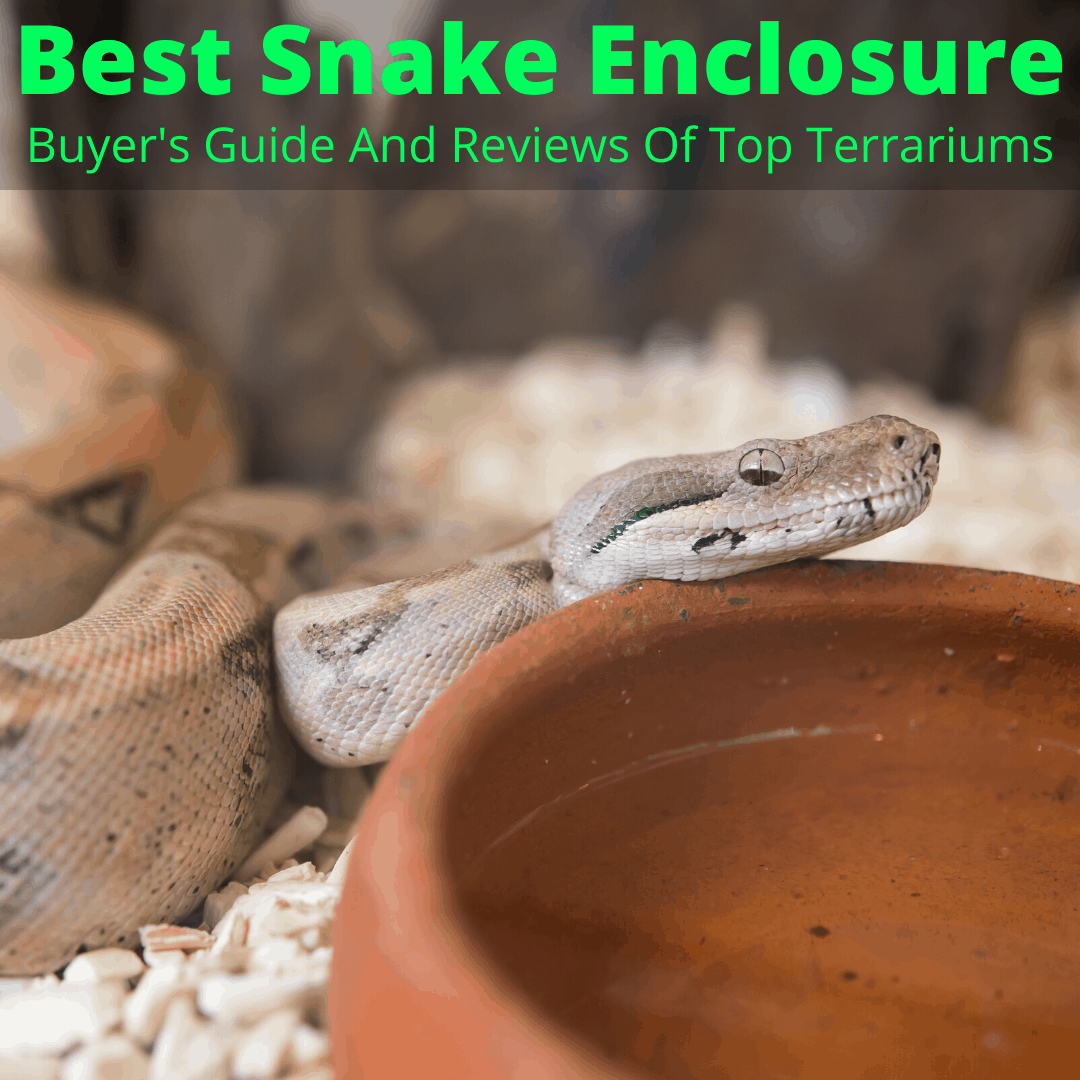 Forstyrre Rouse mild Best Snake Enclosure (Buyer's Guide And Reviews Of Top Terrariums)