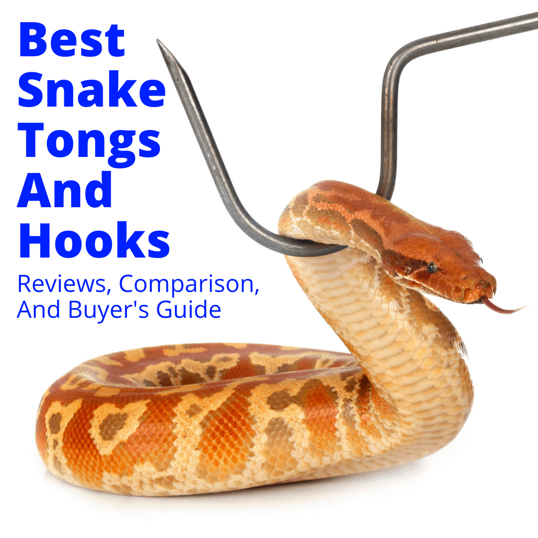 DocSeward Snake Hook, Copperhead Series for Catching, Controlling, or  Moving Snakes, Stainless Steel & Copper, Field Length (43 inches)