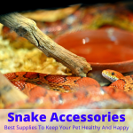 Snake accessories