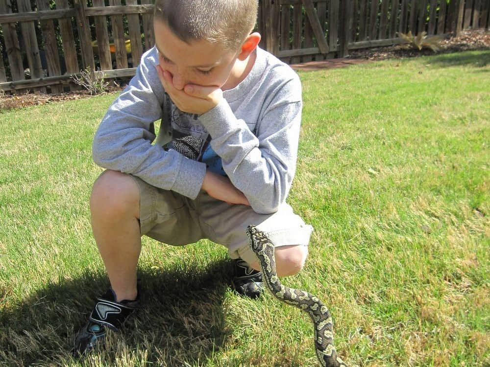 Boy with snake