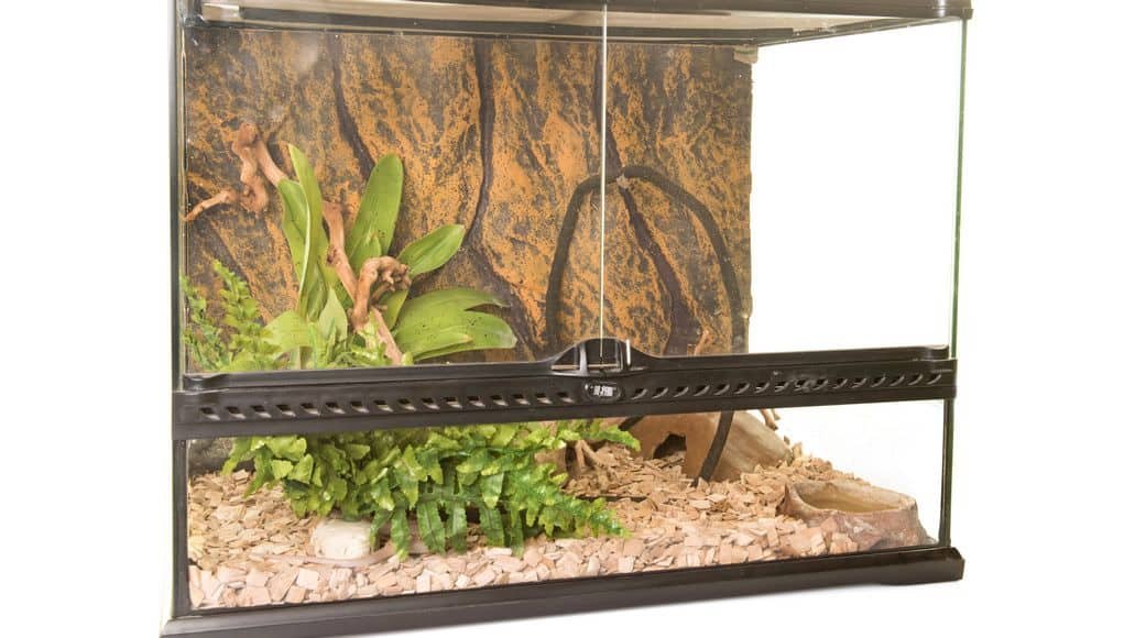 Terrarium kit for snakes