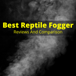 Best Reptile Fogger