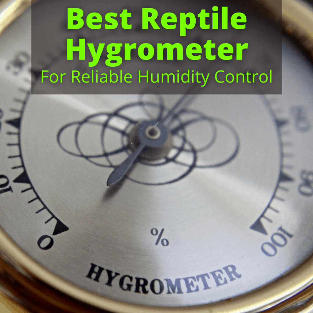 Best Reptile Hygrometer For Reliable Humidity Control