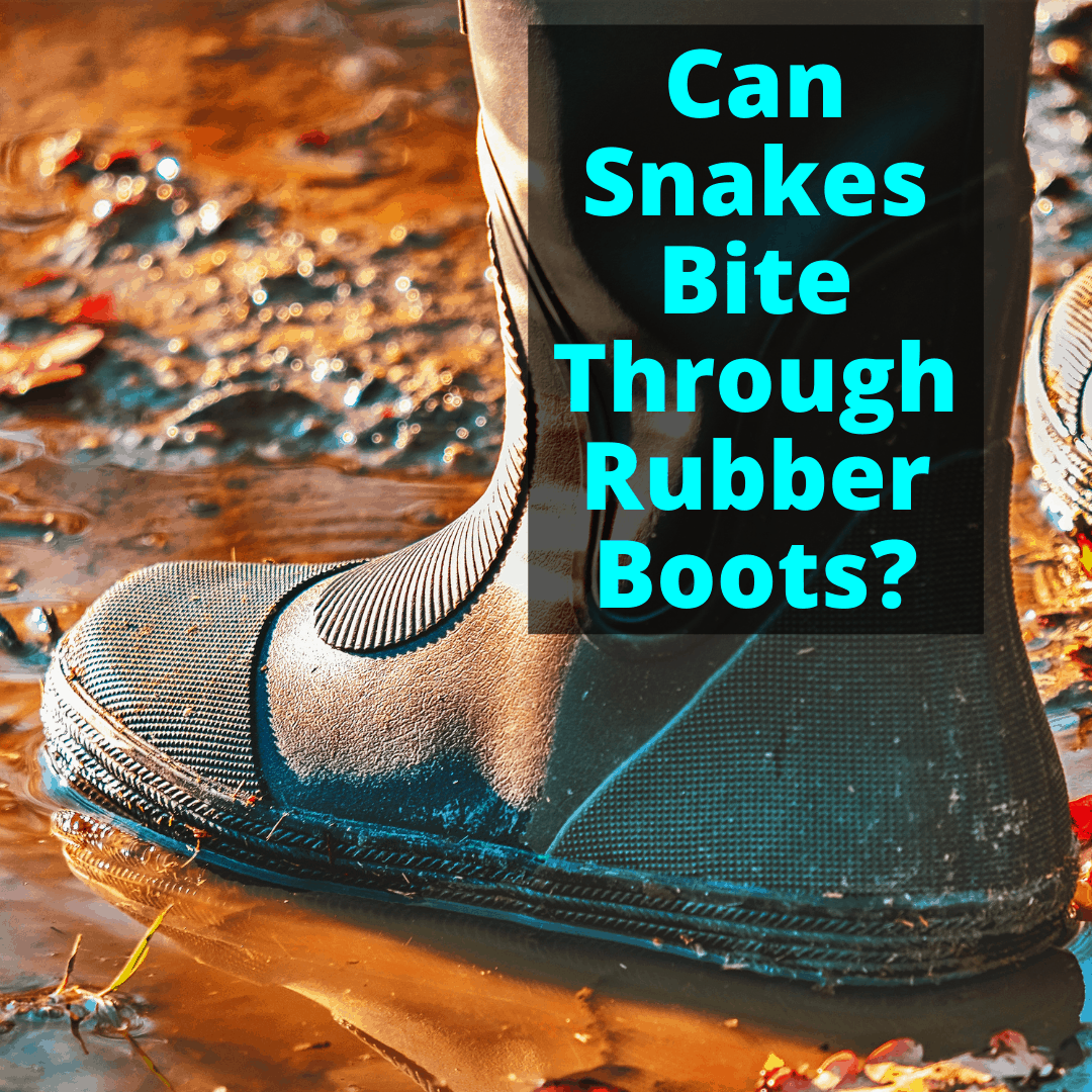 can rain boots protect against snake bites