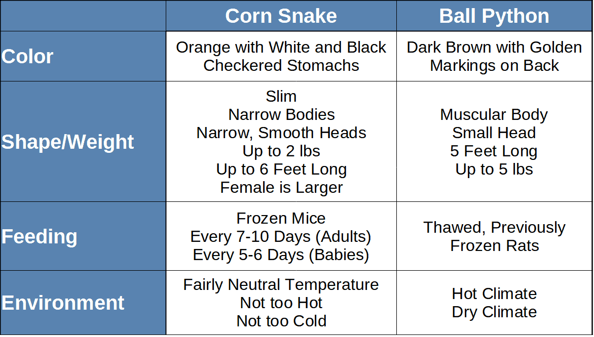 Corn snake vs ball python comparison table