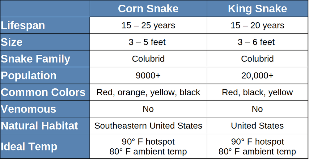 Comparison table for corn snake and kingsnake