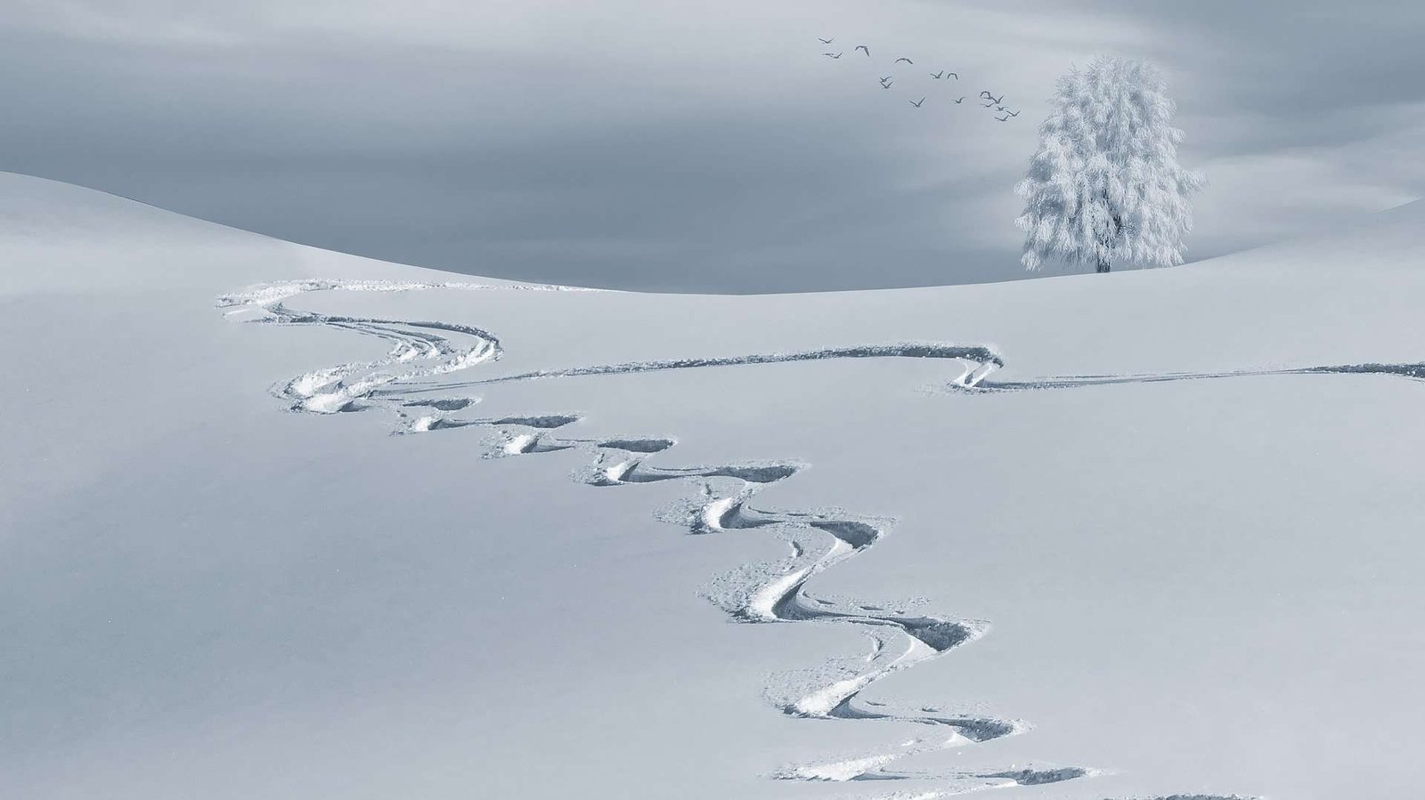 winter scene with snake trail