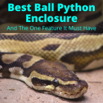 Best Ball Python Enclosure