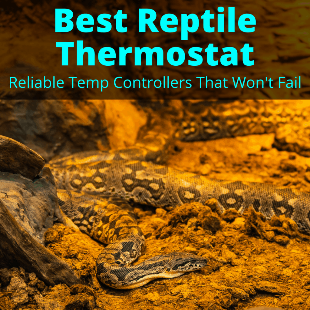 Best Reptile Thermostat (Reliable Temp Controllers That Won't Fail)
