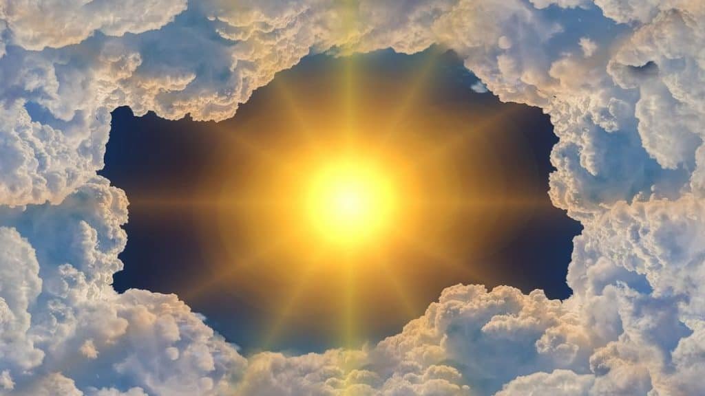 How To Get A Snake Out Of Your Car (Without Harming It Or You)