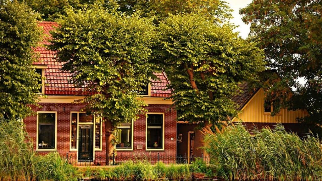 Can Snakes Come Up Through Shower Drains? (+How To Prevent It)