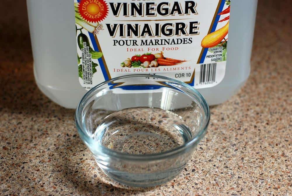 vinegar as an effective snake repellent