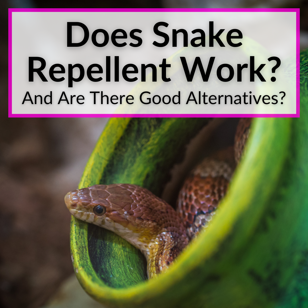 Does Snake Repellent Work