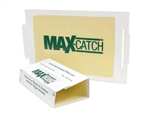 Catchmaster 72MAX Pest Trap (36 Count)