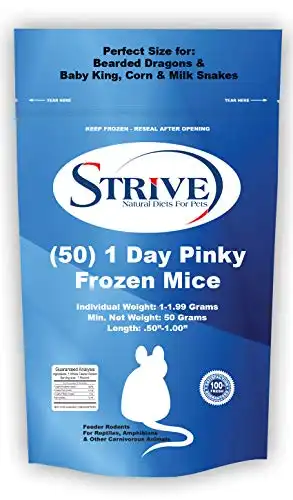 Strive 1-Day Pinky Frozen Mice (50 Count)