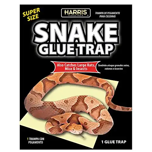 Harris Super Sized Glue Trap for Snakes