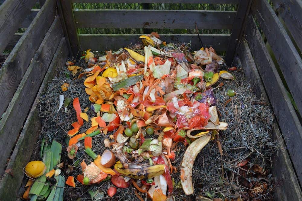 snakes like compost piles
