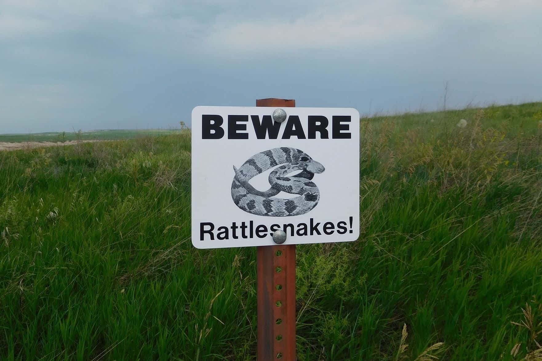 beware rattlesnakes sign