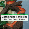 Corn Snake Tank Size