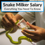 Snake Milker Salary