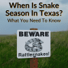 When Is Snake Season In Texas