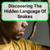 Discovering The Hidden Language Of Snakes