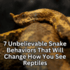 Snake Behaviors