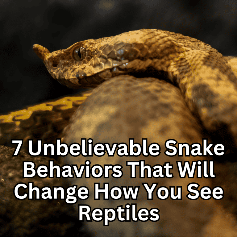 7 Unbelievable Snake Behaviors That Will Change How You See Reptiles