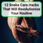 Snake Care Hacks