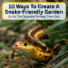 Ways To Create A Snake-Friendly Garden