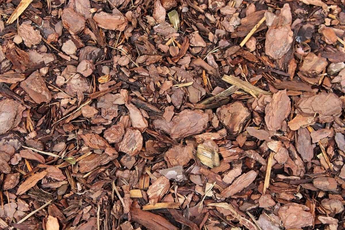mulch