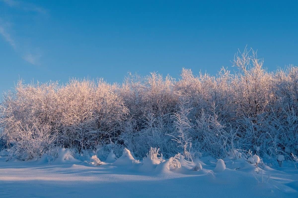 winter weather