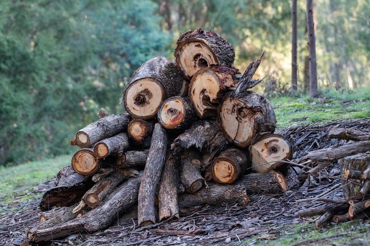 wood pile